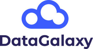 Logo Datagalaxy