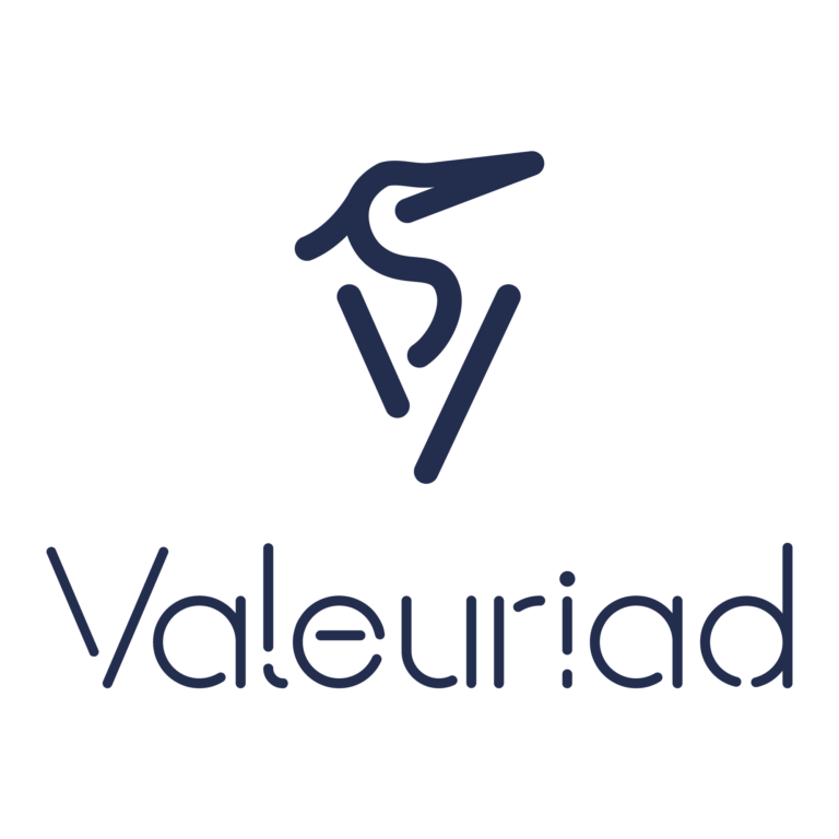 logo Valeur IAD